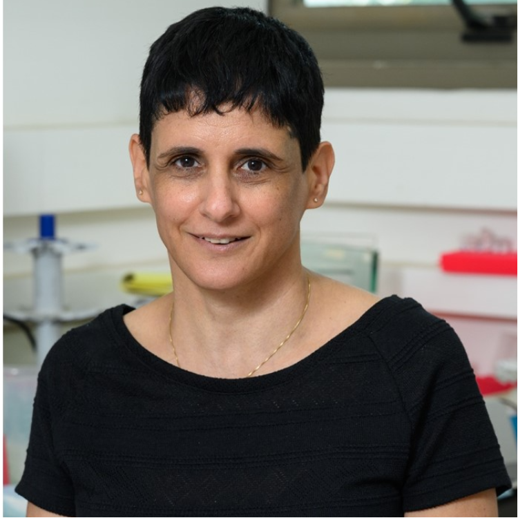 Prof. Ayelet Erez