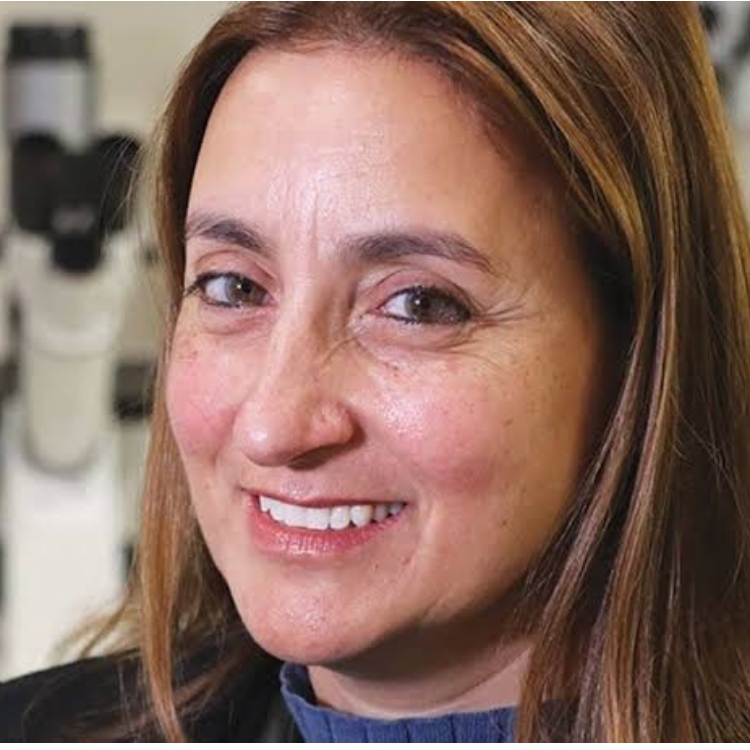 Ronit Satchi-Fainaro